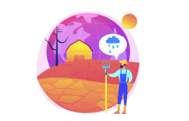 Ilustrasi Gambar Ketahanan Pangan di Tengah Krisis Lingkungan dan Bencana Alam